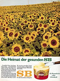 Helianthus: SB margarine advert