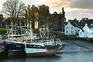 Scallop: Scallop dredgers, Kirkcudbright Harbour, SW Scotland