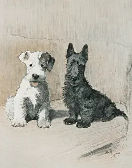 Aldin: TWO SCAMPS/CECIL ALDIN