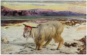 Raphaelite: The Scapegoat by Holman Hunt