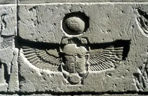 Vulture: Scarab beetle and vulture wings under disk of