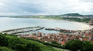 Skingle: Scarborough
