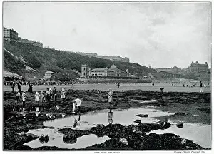 Seaweed: Scarborough