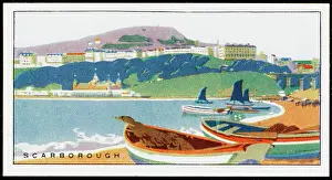 SCARBOROUGH/CIG CARD 20S