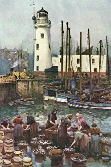 Fishwives: SCARBOROUGH HARBOUR