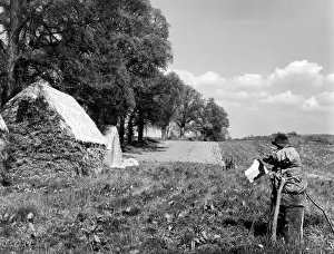 Scarecrows: SCARECROW ON A FARM