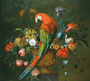 Macaw: A Scarlet Macaw Perched on a Sculpted Urn