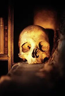 Halloween: Scary skull on shelf looking at camera