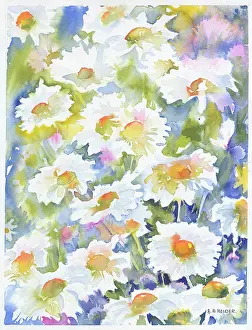 Multi Coloured: Scattered daisies