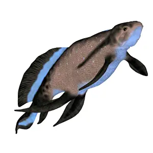Ugliness: Scaumenacia prehistoric fish, side view on white background