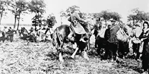 Terrible: SCAVENGERS/1919