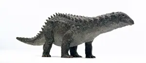 Thyreophoran: Scelidosaurus