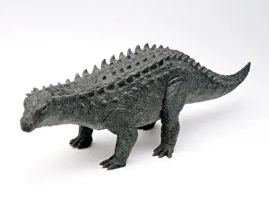 Thyreophoran: Scelidosaurus