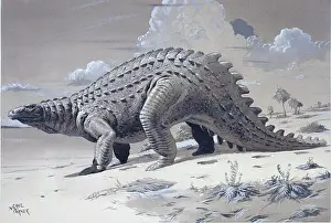 Neave: Scelidosaurus