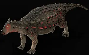Spiked: Scelidosaurus dinosaur on black background