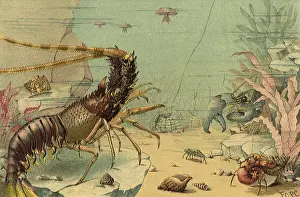 Lobsters: Scene Beneath the Sea