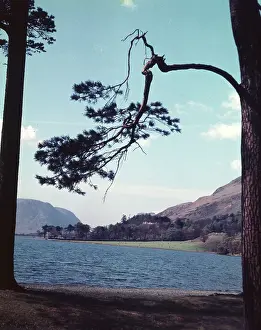 Buttermere: Scene at Buttermere, Lake District, Cumbria