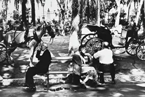 Dappled: Scene in a city square, Malaga, Spain