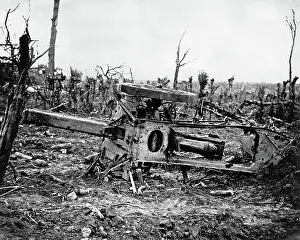 Desolation: Scene of desolation on the Somme, Western Front, WW1
