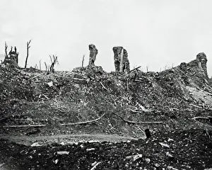 Desolation: Scene of desolation on the Somme, Western Front, WW1