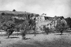 Elisha: Scene at the foot of Tel Dothan, Holy Land