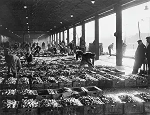 Browsing: Scene in the harbour, Aberdeen, Scotland