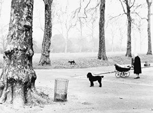 Londonroger: Scene in Hyde Park, London