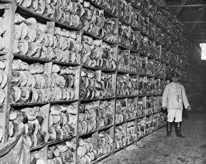 Loaves: Scene inside a bread store, Western Front, WW1