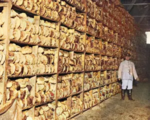 Stacked: Scene inside a bread store, Western Front, WW1