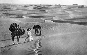 Undulating: Scene in the Libyan or Western Desert, Egypt
