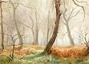 Sheppard: Scene in a misty wood