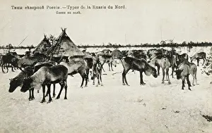 Wigwams: Scene in northern Russia