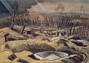 Stumps: Scene at Passchendaele, Belgium, WW1