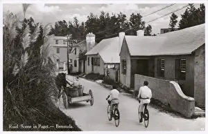 Bermudan: A Scene on a road at Paget, Bermuda