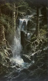 Gillet: Scene in the Santa Cruz Mountains
