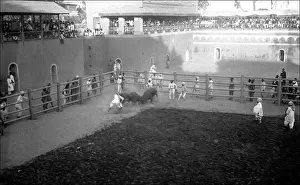 Rams: Scene in a sporting arena, India