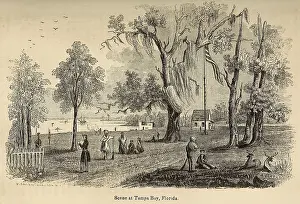 Ceded: Scene at Tampa Bay Florida after it was ?