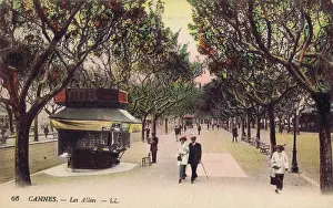 Rivieria: A scene of a tree lined avenue in Cannes, 1920s