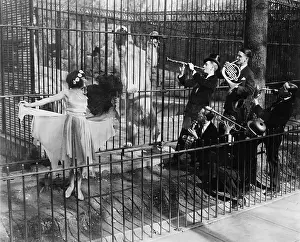 Serenade: Scene at Washington Zoo