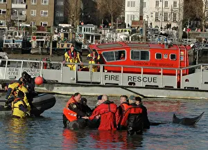 Fireboat: Scene of whale rescue attempt, River Thames
