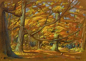 Sheppard: Scene in a wood