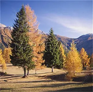 Vigo: SCENERY/DOLOMITES 1988