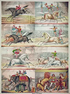 Acrobats: Scenes in the arena
