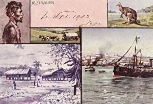 Kangaroo: Scenes of Australia