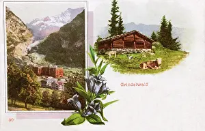 Jul17: Scenes around Grindelwald