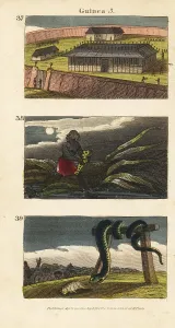 Loango: Scenes from Guinea, Africa, 1820
