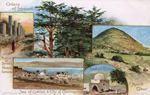 Cedars: Scenes in Lebanon - Herod's Palace, Mount Tabor, Galilee