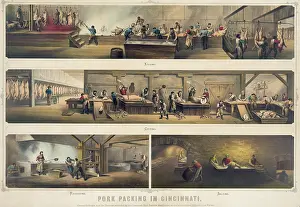 Packers: Four scenes in a pork packing house: Killing, ?