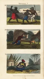 Termite: Scenes from western Africa, 1820