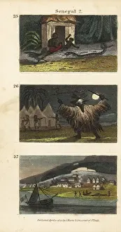 Amazonia: Scenes from western Africa, 1820